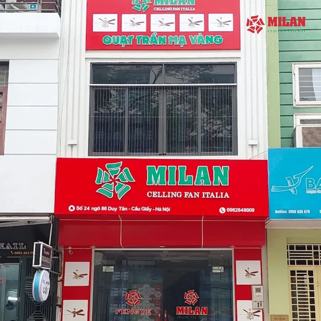 mua-quat-tran-o-dau-tot